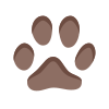 Pet Care